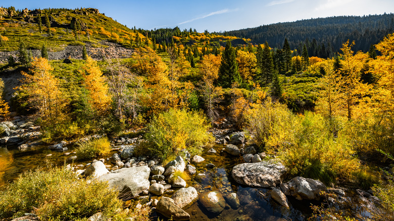 fall on the North Yuba River