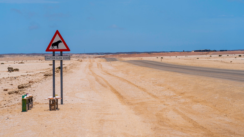 Hyena sign by road on the Skeleton Coast in Namibia, Africa