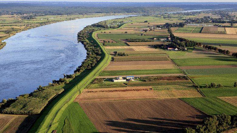 Vistula river