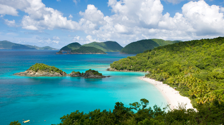 Aerial over Trunk Bay in St John