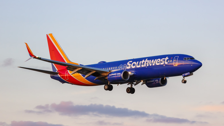 A Southwest Airlines aircraft mid-air