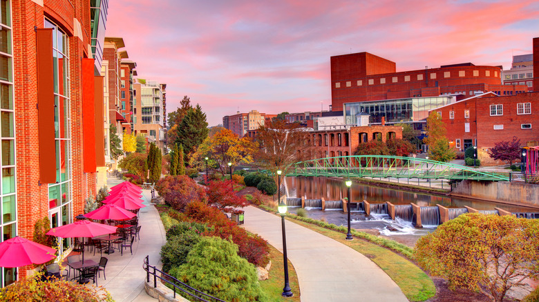 Greenville city river views