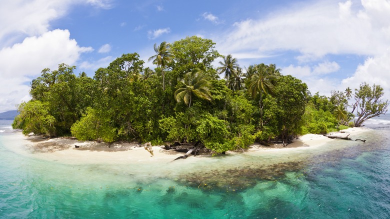 Solomon Islands beach landscape