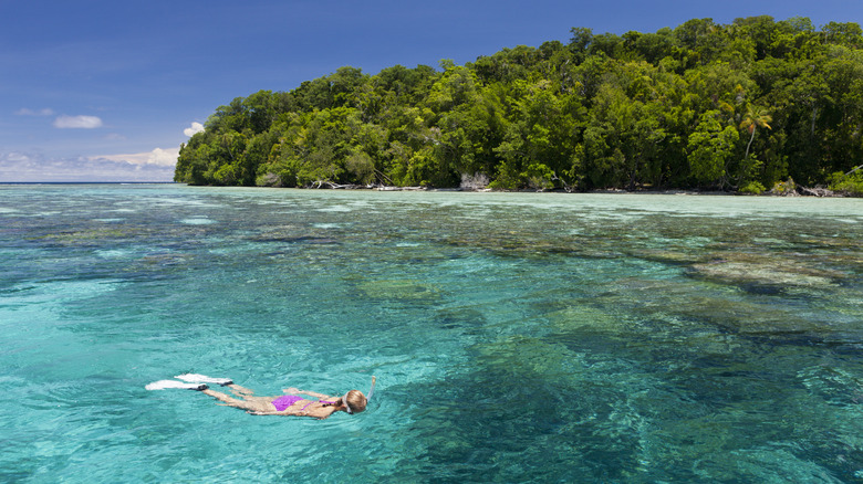 Snorkeler in the Solomon Islands