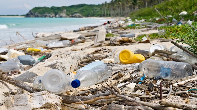 Green tropical beach littered with plastic bottles, containers and wood