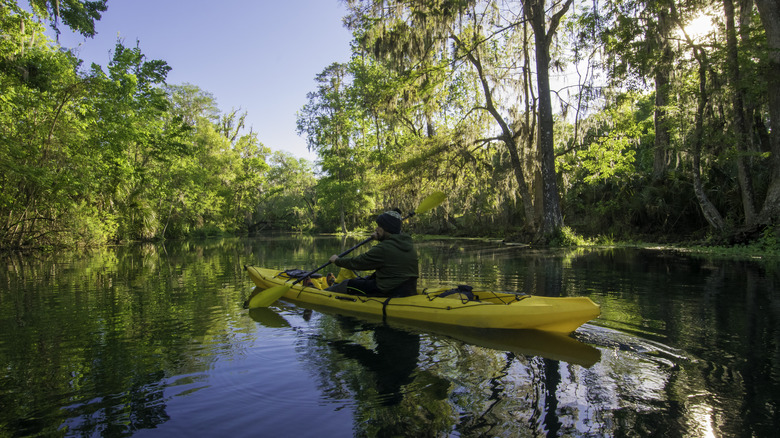 Kayak Silver Springs Florida