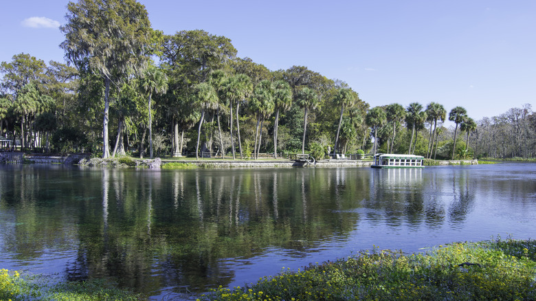 Silver Springs National Park Florida