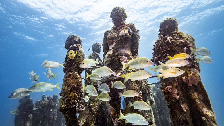 Fish and three underwater statues