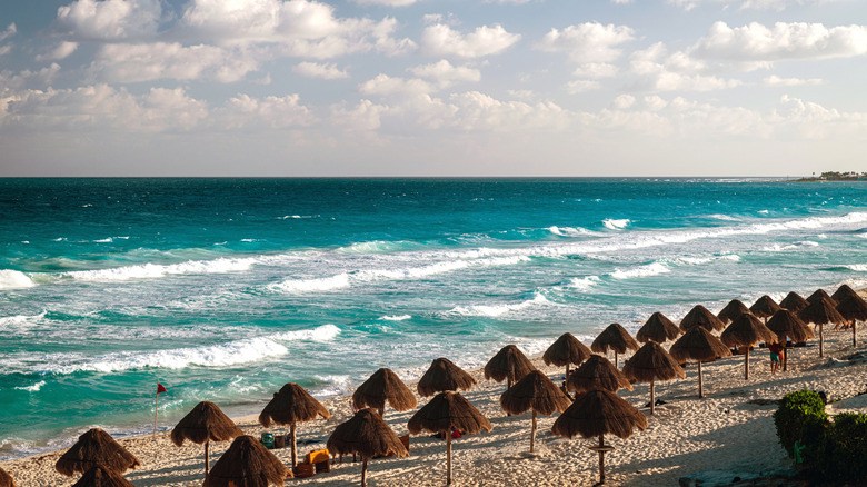 Beach with palm umbrellas