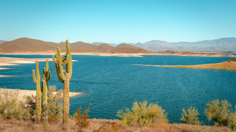 Lake Pleasant near Peoria