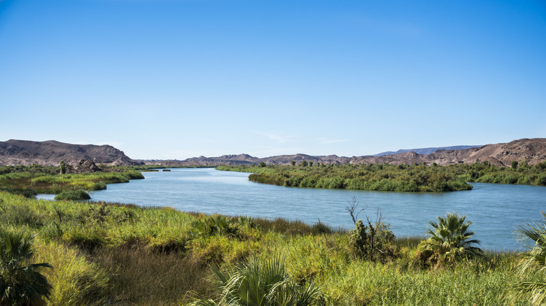 The Colorado River, north of Yuma, on a sunny day