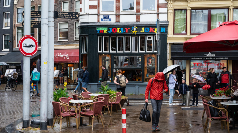 Rainy Amsterdam street in front of a coffeeshop