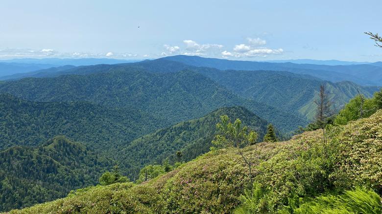 View of the Great Smoky Mountains from Mount LeConte trail