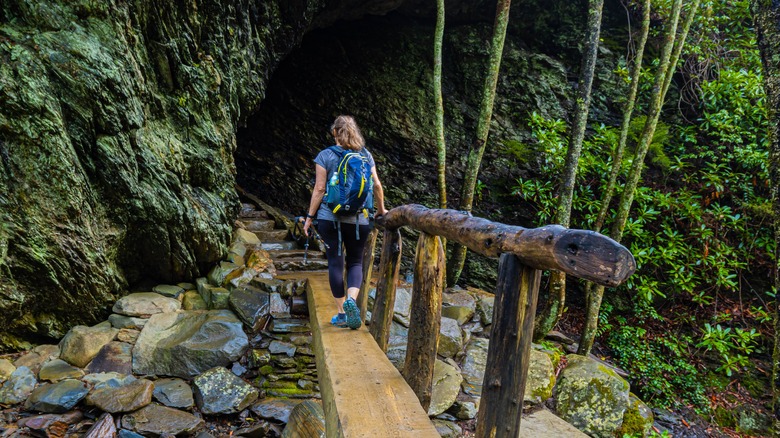 Hiker on the Alum Cave Trail Mount LeConte