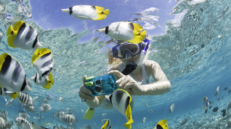 Snorkeling girl photographing fish at Bora Bora