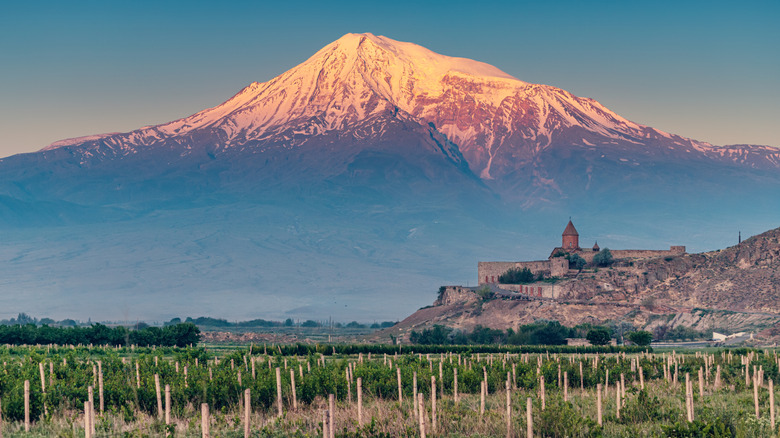 Vineyards and Khor Virap monastery in the shadow of Mount Ararat, Armenia