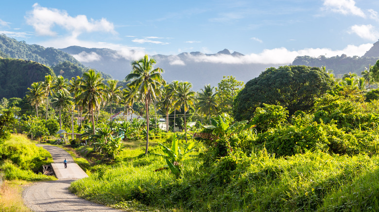 View of Levuka, Fiji