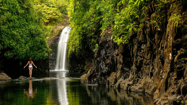 Waterfall on Taveuni, Fiji