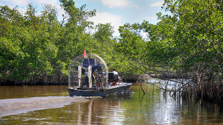 An airboat in the Everglades