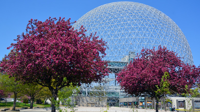 The Biosphere in Montreal behind cherry blossom trees