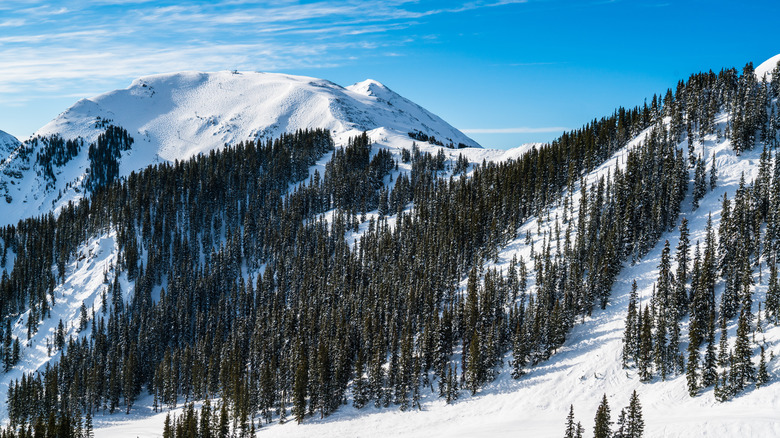 Kachina Peak at Taos Ski Valley in New Mexico