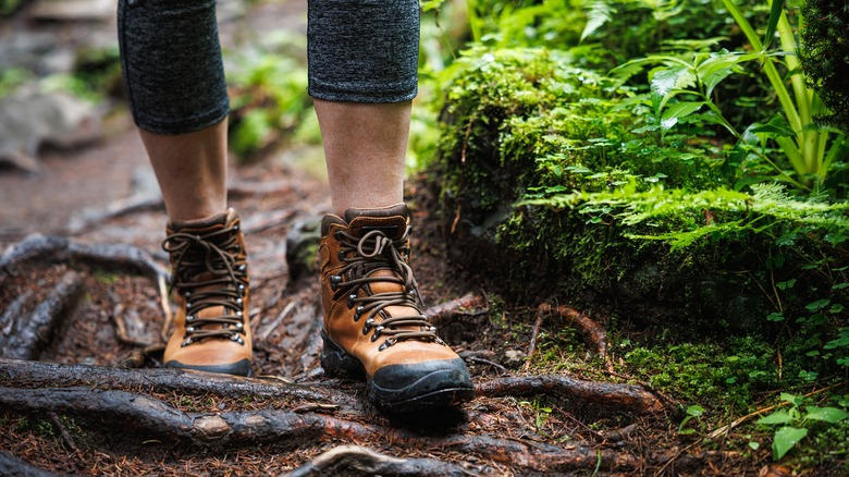 Closeup of hiking shoes on the forest floor