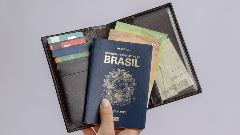 passport wallet with cards