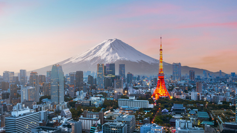 Skyline of Tokyo with Mt. Fuji