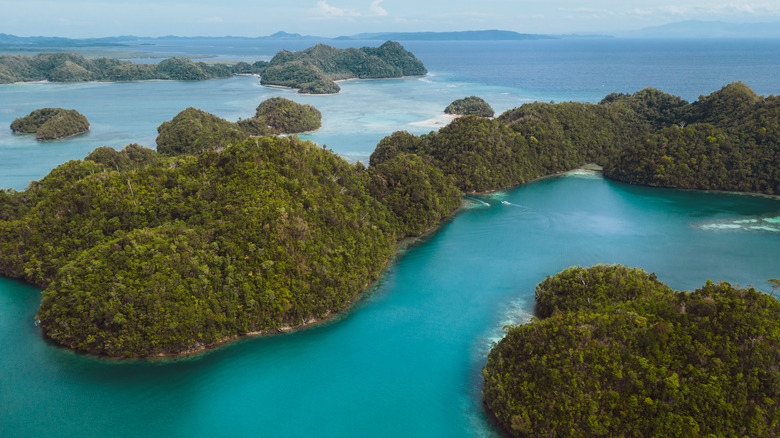 Lush, green islands in Siargao Island in the Philippines