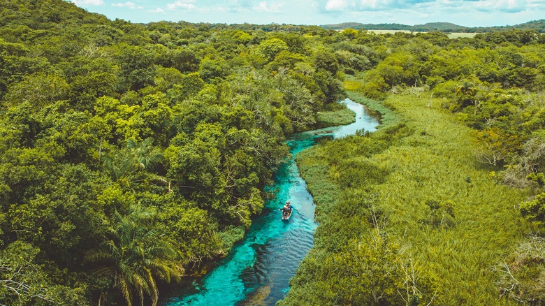 The Sucuri River in Bonito