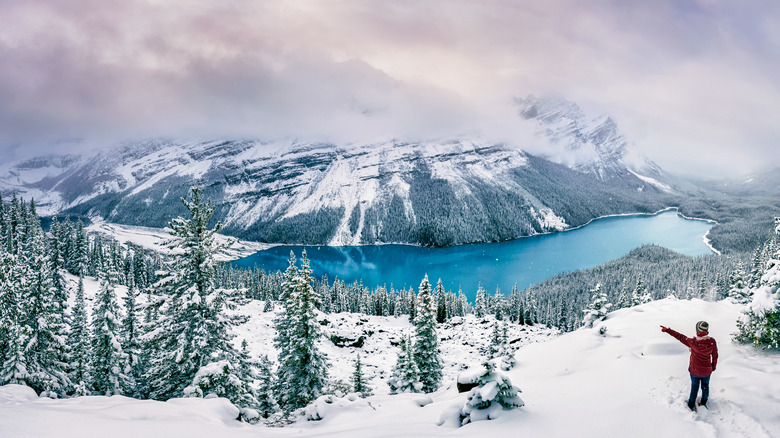 A hiker stands over Lake Louise in winter.