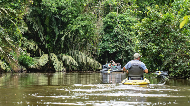 Tourists in canoes navigate the waters of Tortuguero National Park.