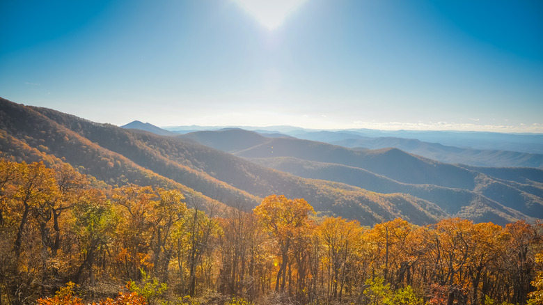 Majestic mountain views in fall