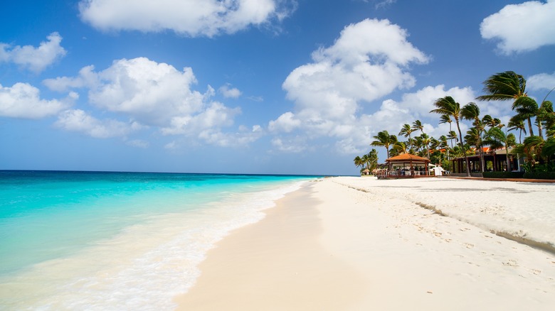 A beach and palm trees in Aruba