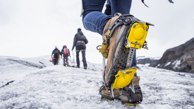 People hiking on glacier