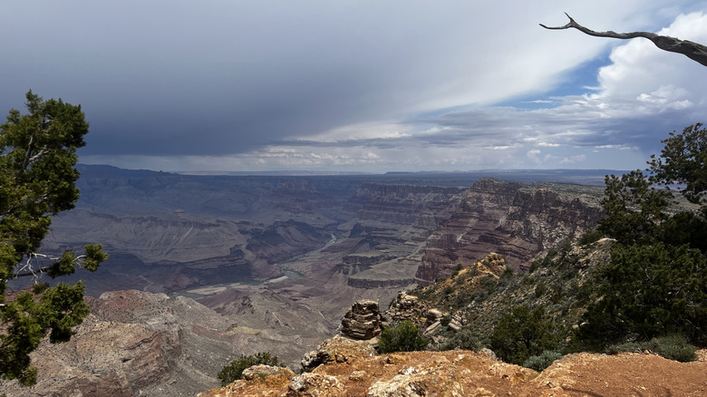 The Grand Canyon in May