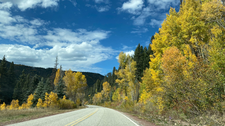 Colorful fall foliage in Carson National Forest on the High Road to Taos