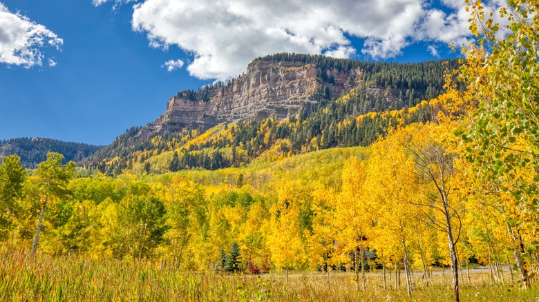 durango colorado mountain in fall