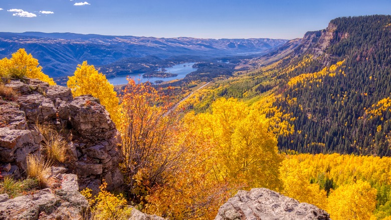 autumn views mountains animas river durango