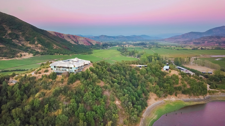 Aerial view of VIK Winery