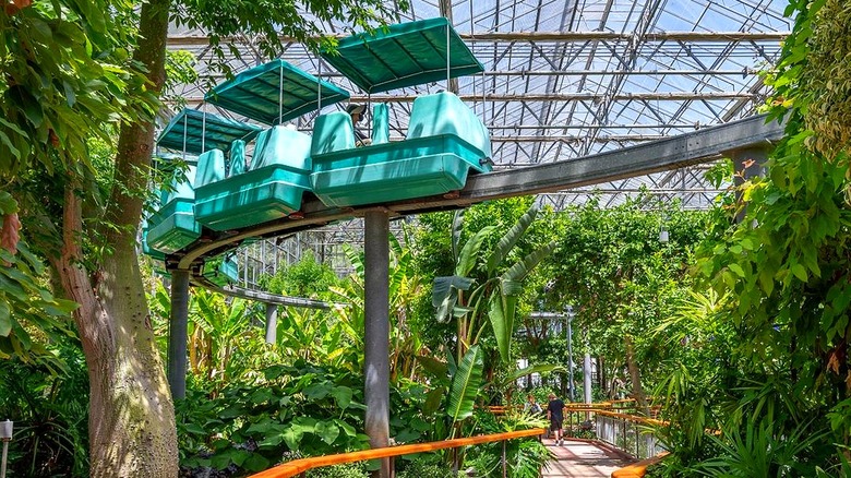 Roller coaster at Gilroy Gardens