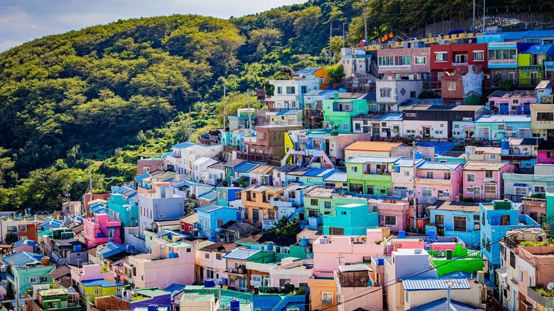 Colorful houses on a mountainside at the Gamcheon Cultural Village in Busan, South Korea