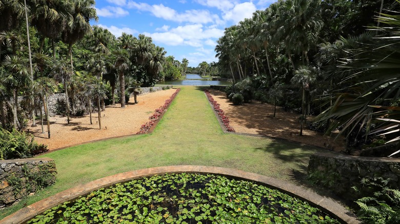 Fairchild Tropical Botanic Garden