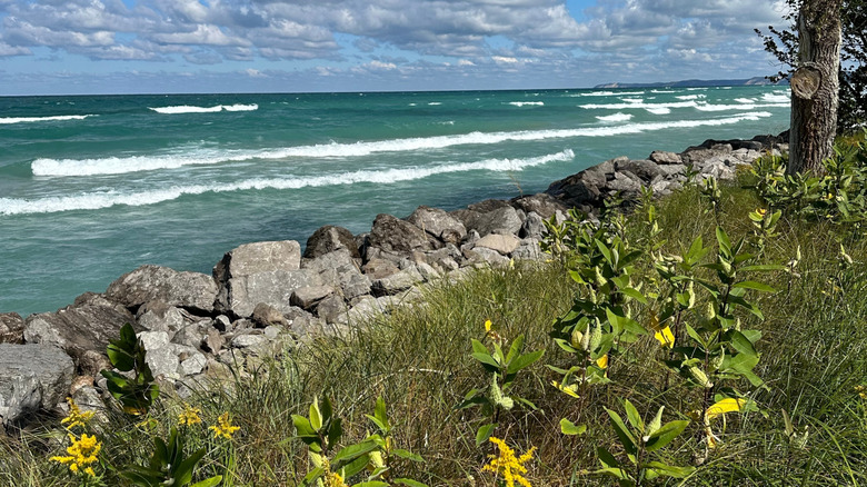 Arcadia Beach Natural area with rolling waves