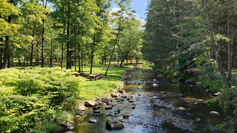 View of stream and forest at Saratoga Spa State Park