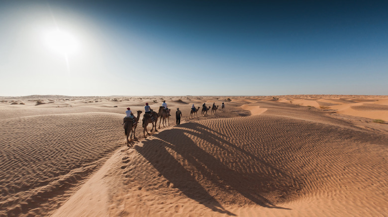 Camel caravan crossing the desert