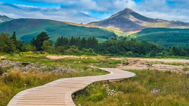 Isle of Arran Goatfell landscape