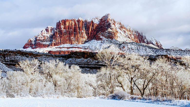 Zion National Park mountains snow