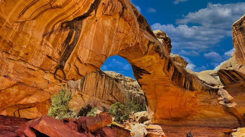 Hickman Natural Bridge at Capitol Reef