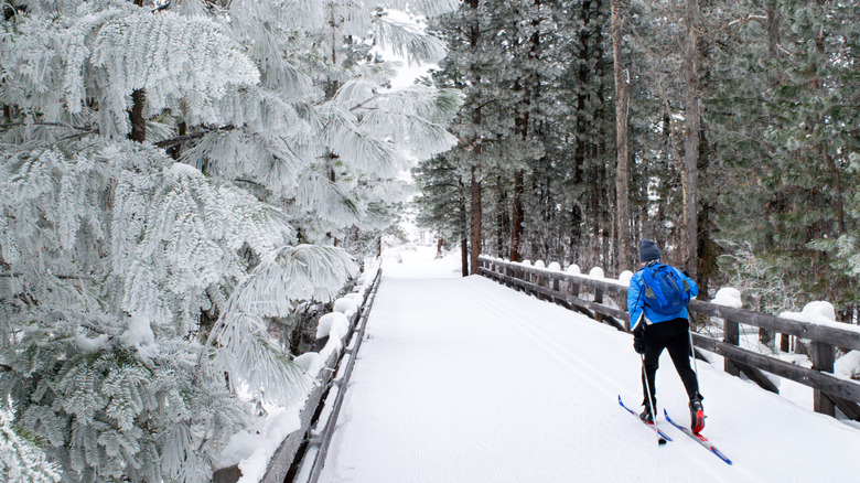 Cross-country skiier on the Methow Trails